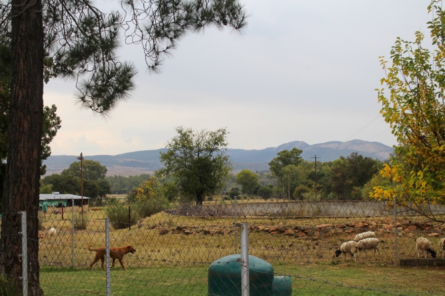 6 Bedroom Property for Sale in Parys Free State